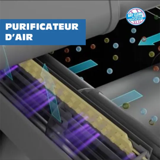 Schéma de fonctionnement du purificateur d'air Ray Clean avec filtration UV pour poêle à granulés Linea VZ