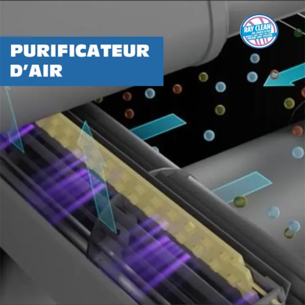 Schéma de fonctionnement du purificateur d'air Ray Clean avec filtration UV pour poêle à granulés Linea VZ