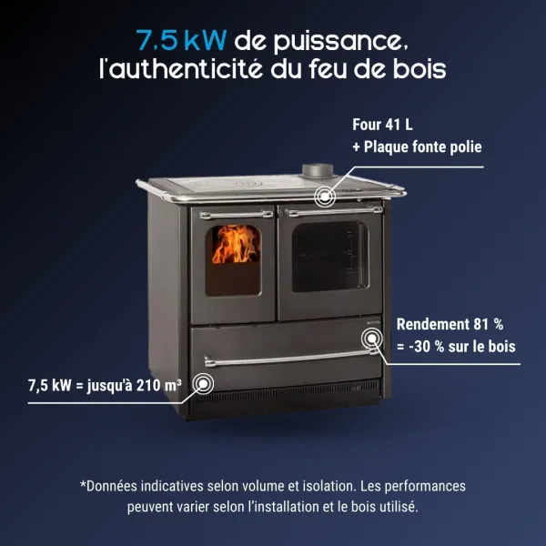Cuisinière à bois SOVRANA EASY EVO grise avec four 41L et plaque fonte polie, puissance 7,5 kW
