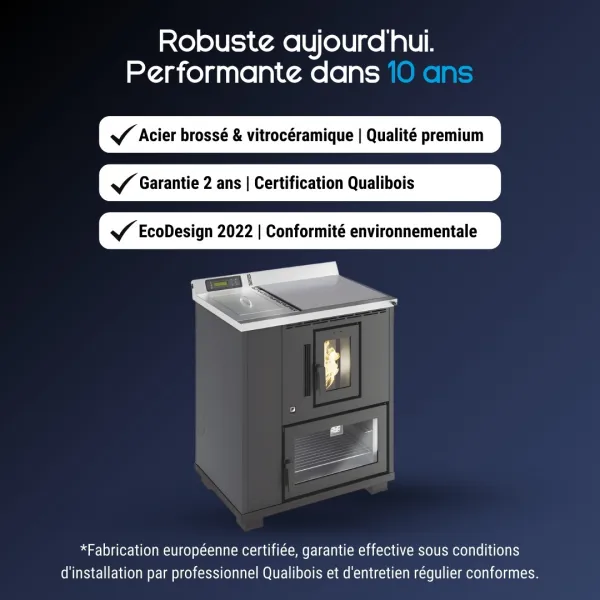Cuisinière à granulés Desy grise avec plaque de cuisson et four, certification Qualibois EcoDesign 2022
