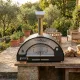 Four à pizza au bois Arde Maxi installé dans un jardin