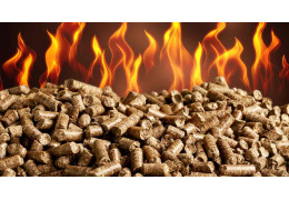 Peut-on mettre des pellets dans une cuisinière à bois : guide complet